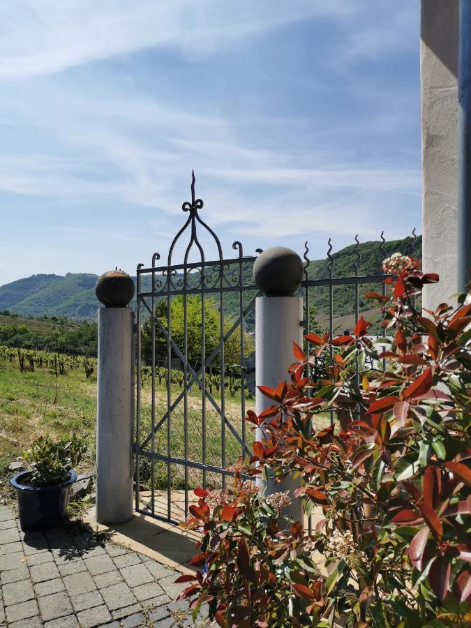 Weingut Amlinger&Sohn Appartement Neef Buitenkant foto